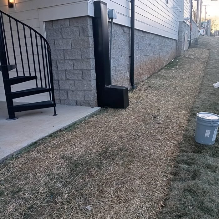 1c29bd02-a3a5-4237-af50-b895329a45c0